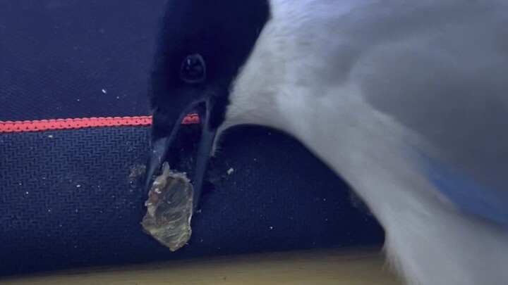 لا أتذكر أين خبأته، لقد جفّ بفعل الرياح.