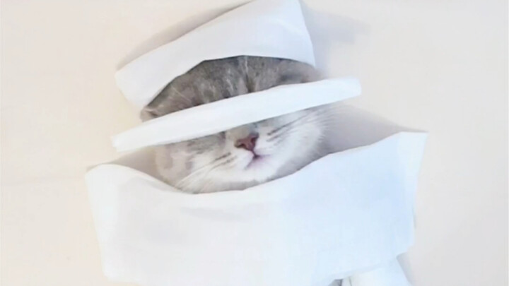 Hehe, you’d never guess, would you? This is a whitening treatment—anyone who doesn’t know might thin