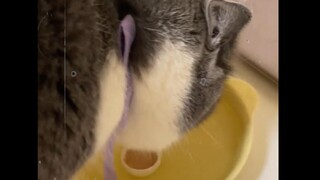 Đánh lừa nước như vậy, quá thông minh luôn