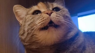 Đôi mắt to tròn đầy khao khát