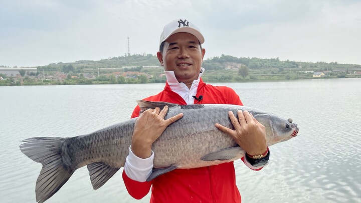 Searching for a 70+ cm grass carp at Weihai Reservoir