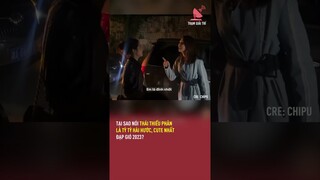 Tại sao nói Thái Thiếu Phân là tỷ tỷ hài hước, cute nhất Đạp Gió 2023? | TGT