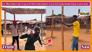 Lindo || Vẻ Mặt Bất Lực Của Lindo Khi Quay Lại Khu Chợ ??? Sạp ở Chợ ?