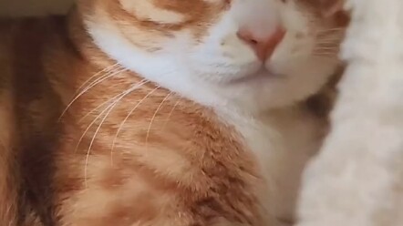 So I’ll get to see you for the rest of my life? Yeah!