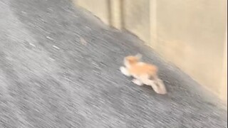 妈妈，我回不去了