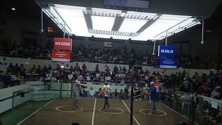 KHO SHIPPING LINES  VS TRES AMIGOS (San Juan coliseum) 8 cock derby January, 31,2025
