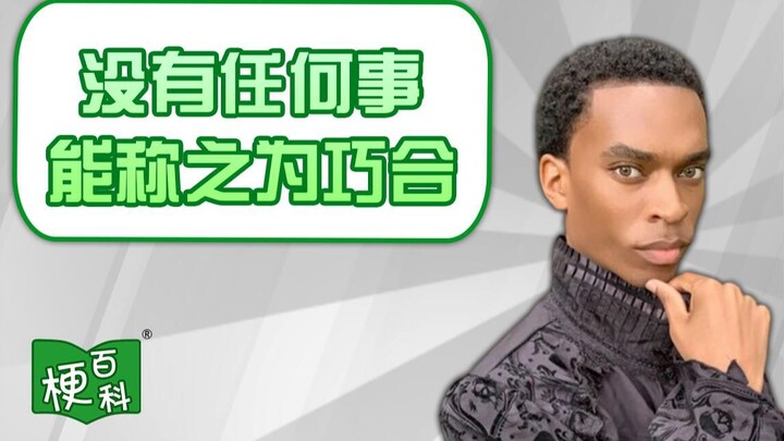 [Internet Jargon Encyclopedia] What's the meme about how nothing can be called coincidence? Is it th