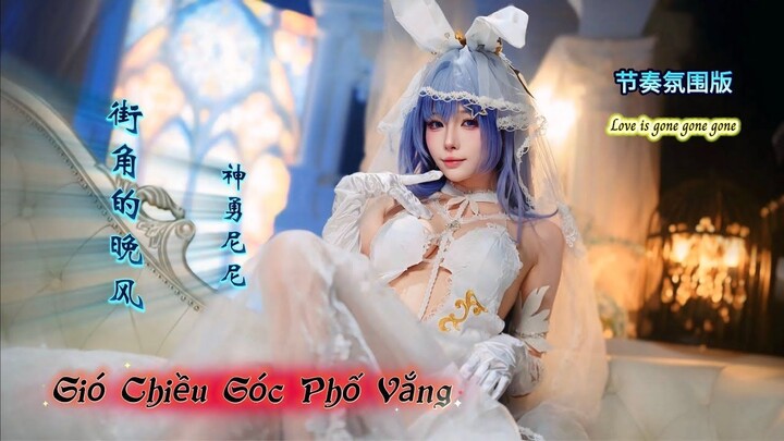 街角的晚风 Gió Chiều Góc Phố Vắng (节奏氛围版) 励志豪 _ 神勇尼尼 Hot Douyin 2025