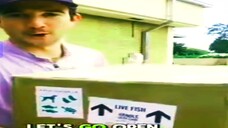 reels video new today fishing video