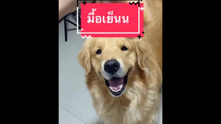 บอยได้กินมื้อเย็นแน้ววววว พักนี้กำลังฝึกกดกริ่งอยู่นะ 55555