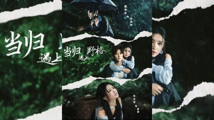 [Sub Indo] Angelica meets Yege《当归遇上野格》| Lu Dandong & Zhu Xiaoxue | Short Drama China 2025