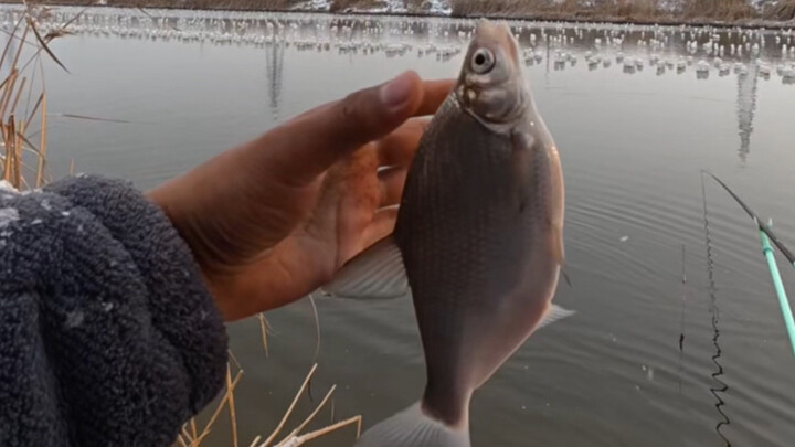 Fishing on a Snowy Day