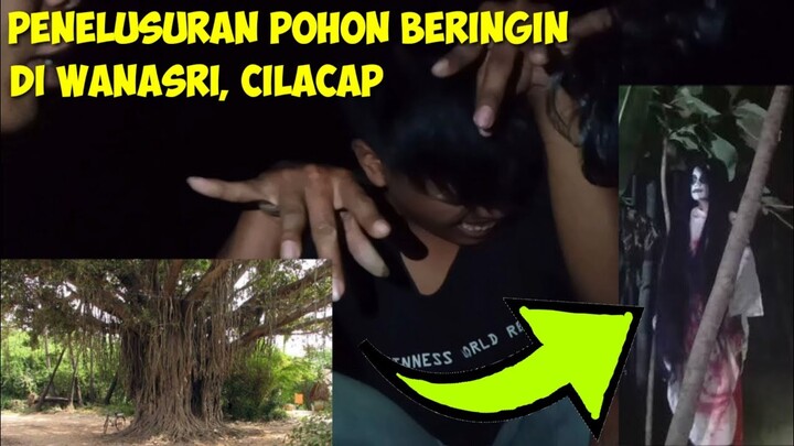 Penelusuran Pohon Beringin di Wanasri, Cilacap