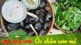 ỐC CHẤM CƠM MẺ và CÁ LÓC HẤP MẺ - Món ngon khó cưỡng của miền Tây| Đặc sản miền sông nước