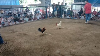 win