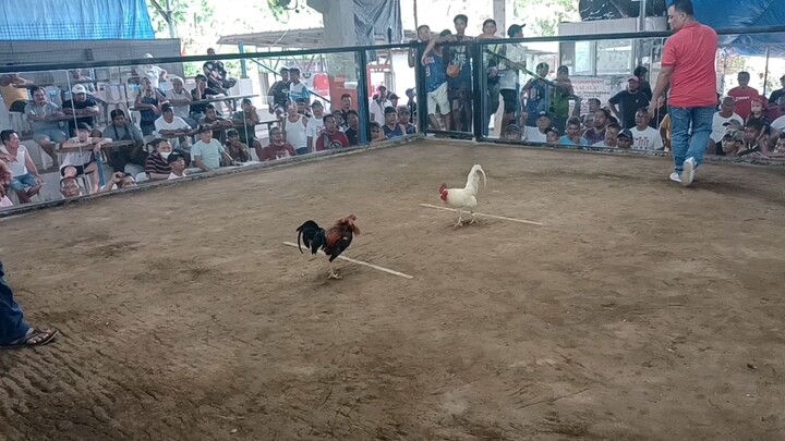 win