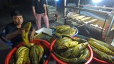 Độc đáo Cá lóc nướng Tây Bắc ướp 20 loại gia vị chỉ 150k ngon lạ nhất Sài Gòn ngày Vía Thần Tài