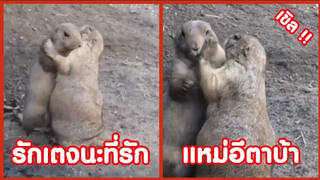 รักนะที่รัก แหม่อีต้าบ้าอายเค้า !! ( รวมฮาพากย์ไทย )