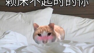 I'll definitely get up in ten seconds!