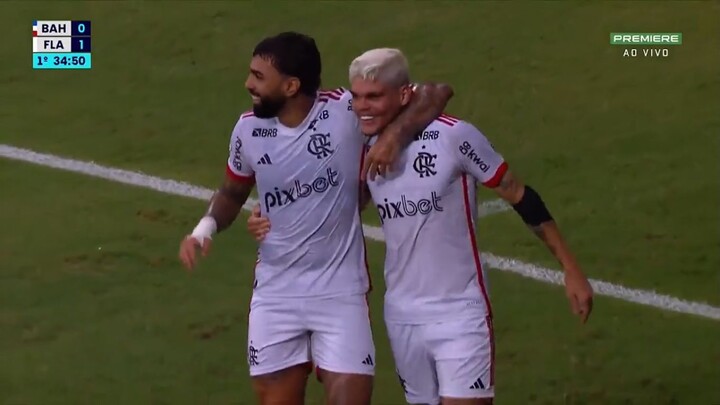 Bahia x Flamengo 051024