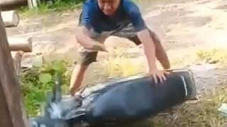 apinya PHP doang ya bang kagak jadi kebakar tuh motor