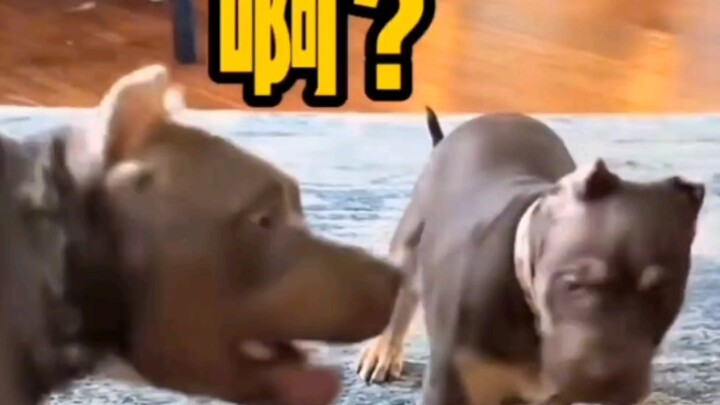 Step 1 to Success: Cut Off Your Way Back