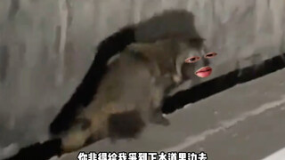 你多冒昧呀