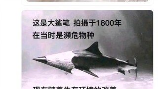 难绷的吊图吧