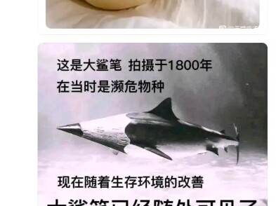 难绷的吊图吧