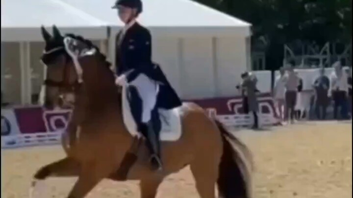 A Horse That Does the Air Step (Imperial Dance Step)