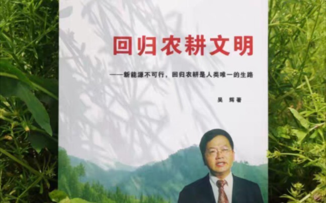 疑似有点工业化了