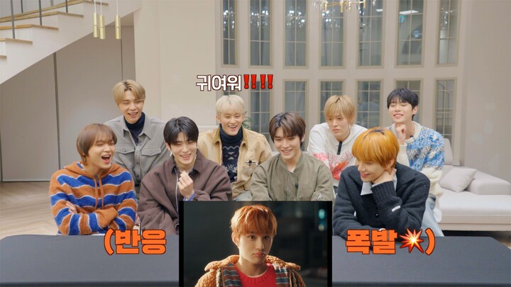 【NCT 127】Phản ứng với MV “Be There For Me” | Phản ứng của NCT 127