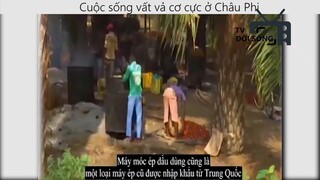 cuộc sống vất vả cơ cực ở châu phi _phần 7