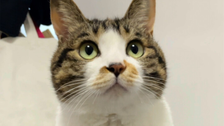 Semoga orang baik seperti ini mendapat balasan yang baik, dan hidupnya selalu damai!