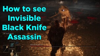 Elden Ring Black Knife Assassin Boss