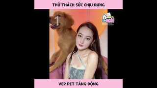 [Vietsub] Khi nhà nuôi em cún tăng động | Ổ nhỏ của Hoài