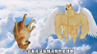 角色转换6,王老五继续在荒岛生存，这一次，他又会发生什么样的事情呢？