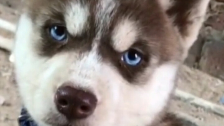 إير ها: هذا الشخص مريض/مجنون.