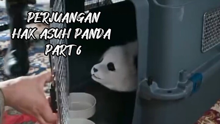PERJUANGAN HAK ASUH PANDA PART 6