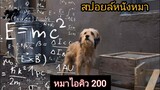 หมาอะไรโคตรฉลาด iQ 200 | benji ชื่อนี้มีแต่หมา [สปอยล์]
