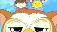 แฮมทาโร่ แก๊งจิ๋วผจญภัย ปี4 ตอนที่ 17