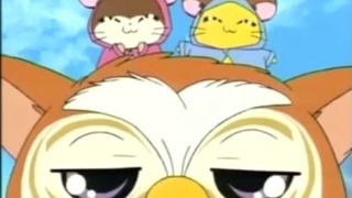 แฮมทาโร่ แก๊งจิ๋วผจญภัย ปี4 ตอนที่ 17