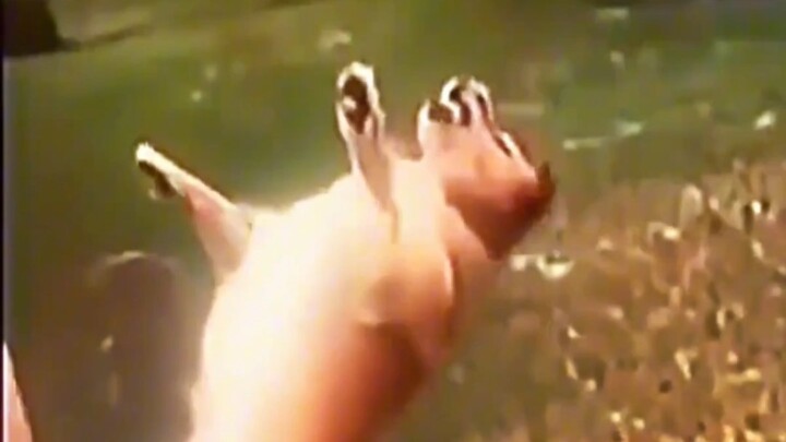 الرحيل بهدوء