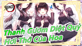 [Thanh Gươm Diệt Quỷ/Beat Sync] Hơi Thở của Hoa - Thức cuối cùng