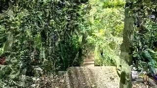 Vô tình phát hiện ra một lối vào bí mật, dường như đã bước vào một thế giới khác.