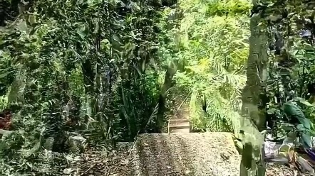 Vô tình phát hiện ra một lối vào bí mật, dường như đã bước vào một thế giới khác.