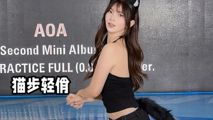 AOA猫步轻俏直拍～我踩着猫步来了！