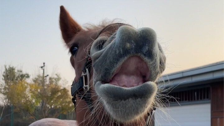 Khi tôi nịnh hót người khác