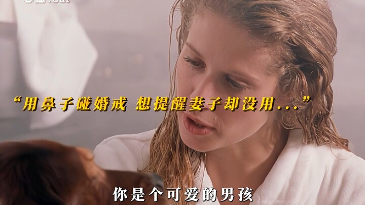 “原来你从未离开...”