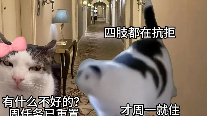 Couples’ First Overnight Stay Away From Home VS One Year Later